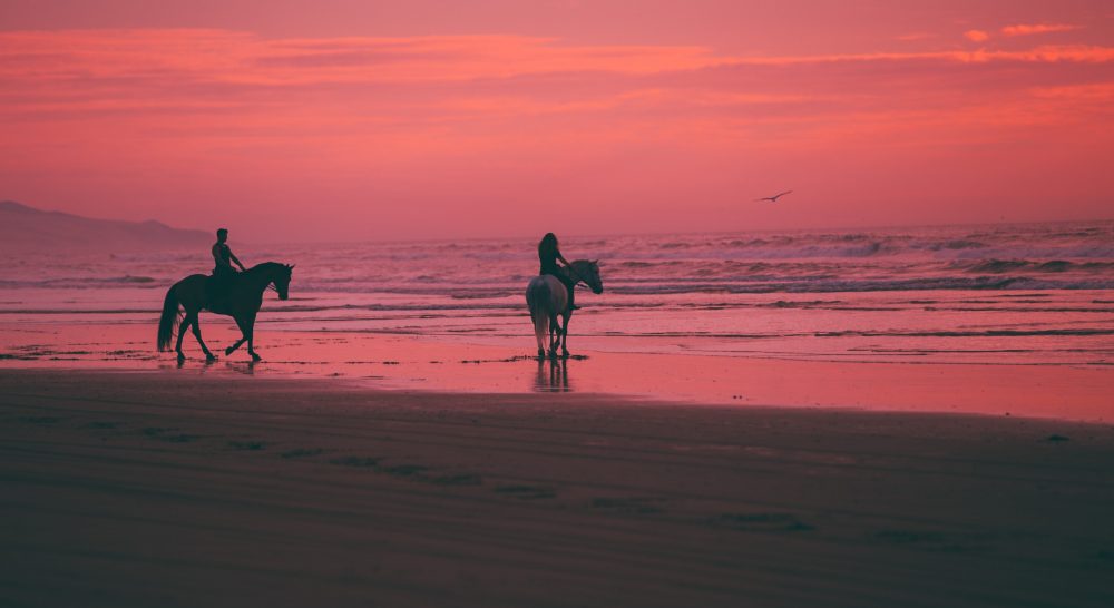 an adventure seeking couple on horseback on a sunset lit beach